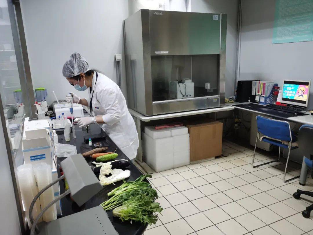 沙雅食品检测实验室装修方案